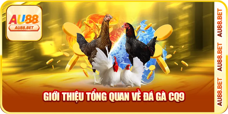 Giới thiệu tổng quan về đá gà CQ9